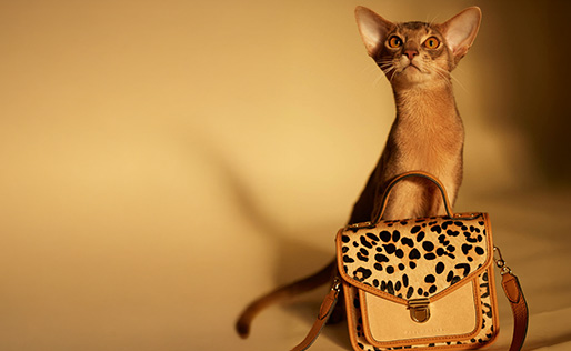 Sac &agrave; main en cuir imprim&eacute; l&eacute;opard