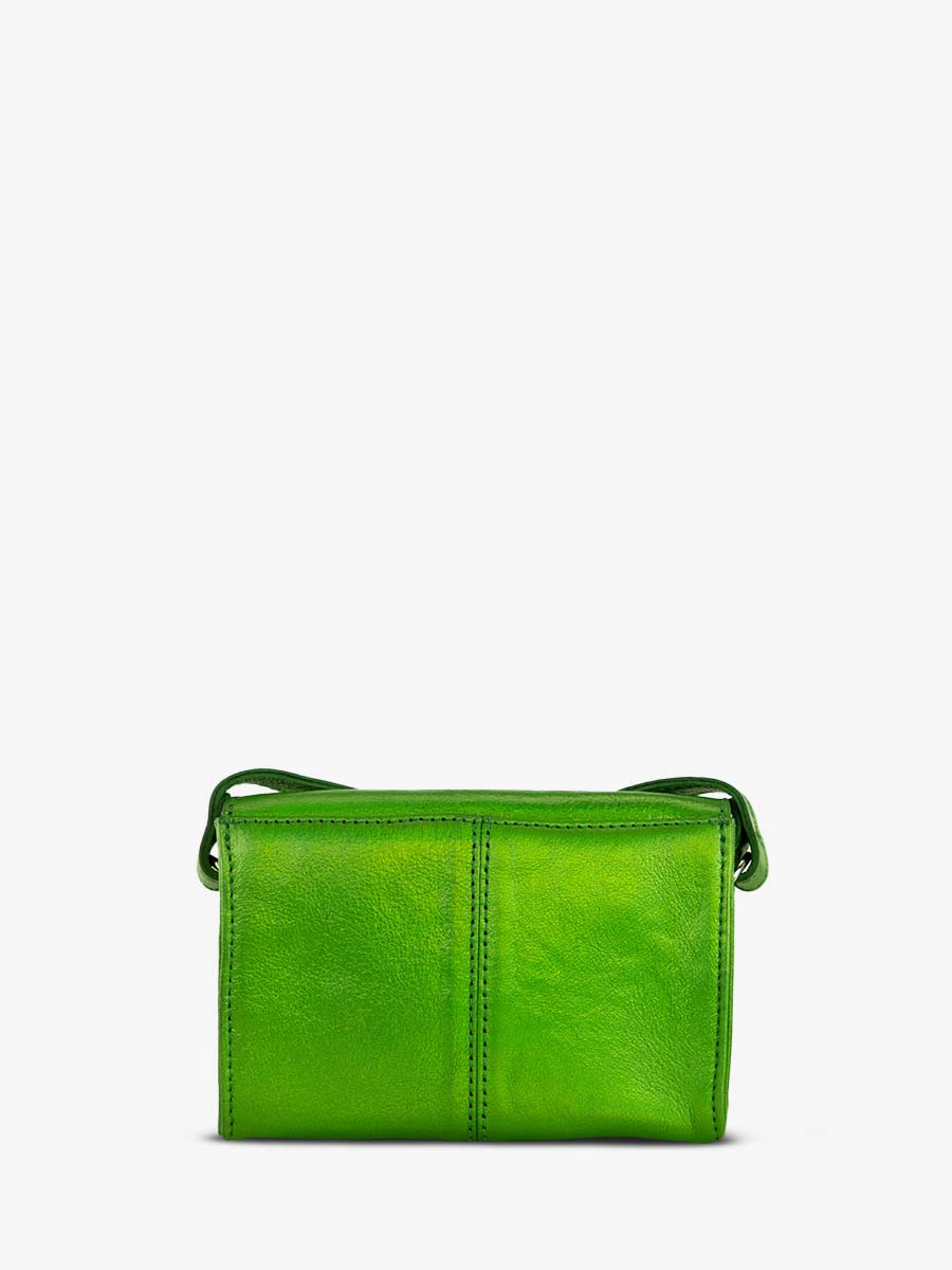 foto-vista-posteriore-borsa-a-tramonto-in-pelle-donna-verde-le-mini-indispensable-assenzio-paul-marius-w08s-gr-b