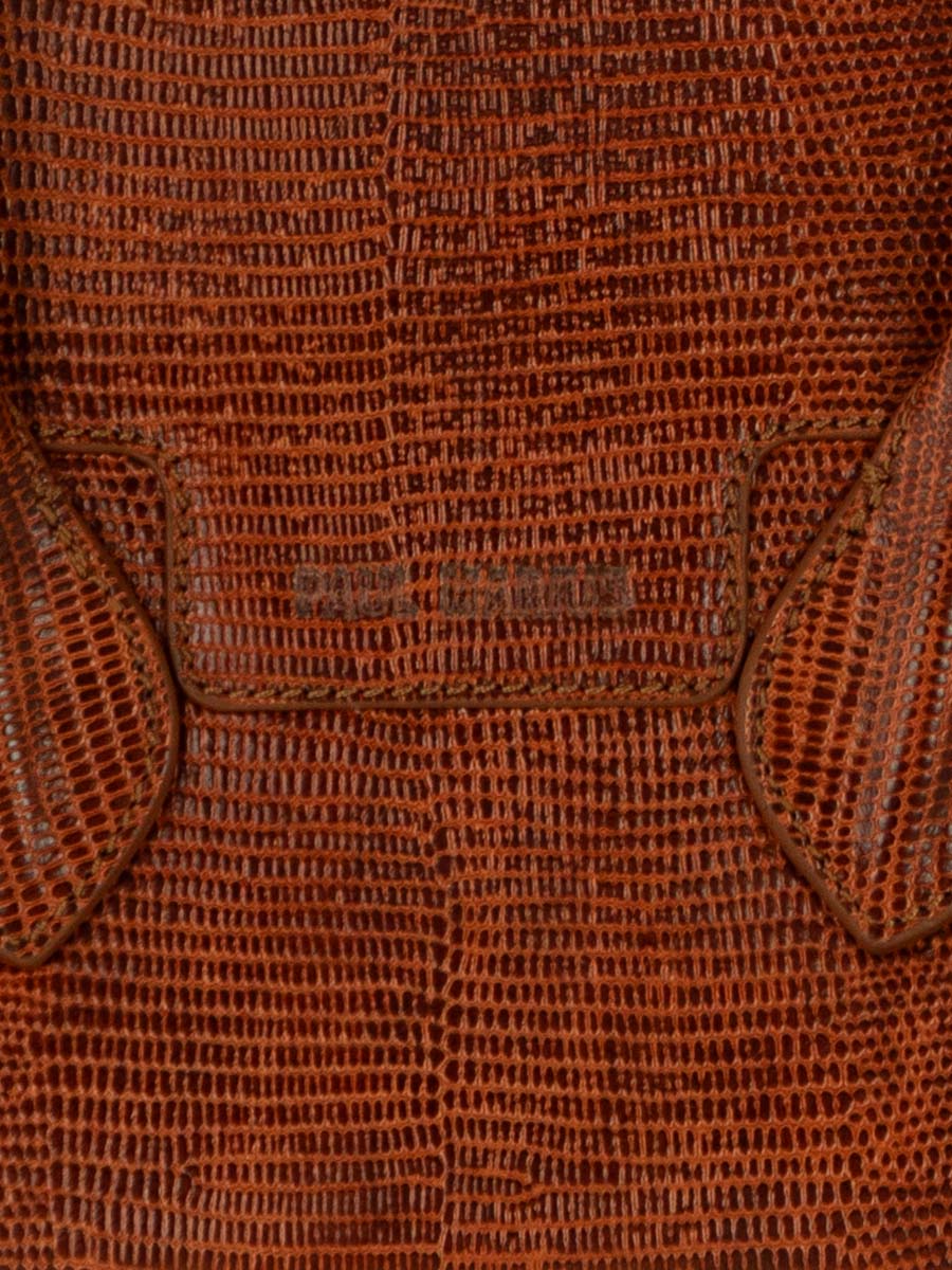 foto-vista-zoom-materiale-mini-borsa-a-mano-in-pelle-marrone-gisele-xs-1960-ambra-paul-marius-w32xs-l-l