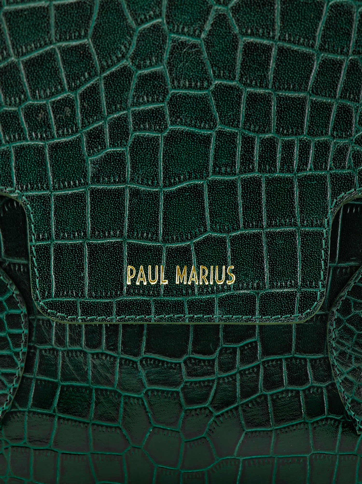 foto-materiale-borsa-mano-in-pelle-donna-madeleine-alligator-verde-paul-marius-w31-a-dg