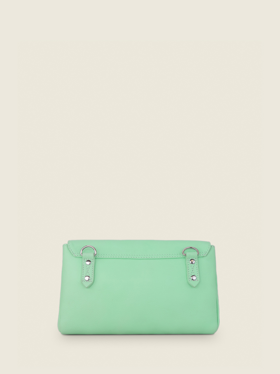 foto-vista-posteriore-borsa-a-tracolma-in-pelle-verde-suzon-m-pastel-menta-paul-marius-w25m-pt-gr