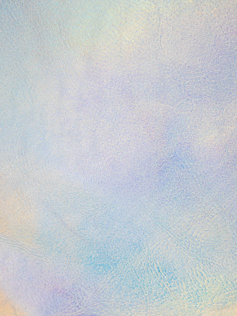 portafoglio-alice-givre-olografico-nero-vista-zoom-materiale-m76-giv