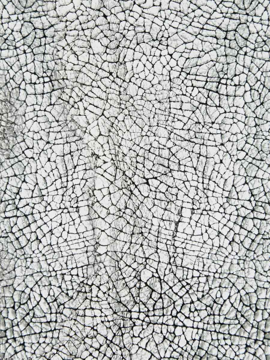 mini-sac-main-legustave-pochette-miroir-argente-vue-zoom-matiere-clpl-mir