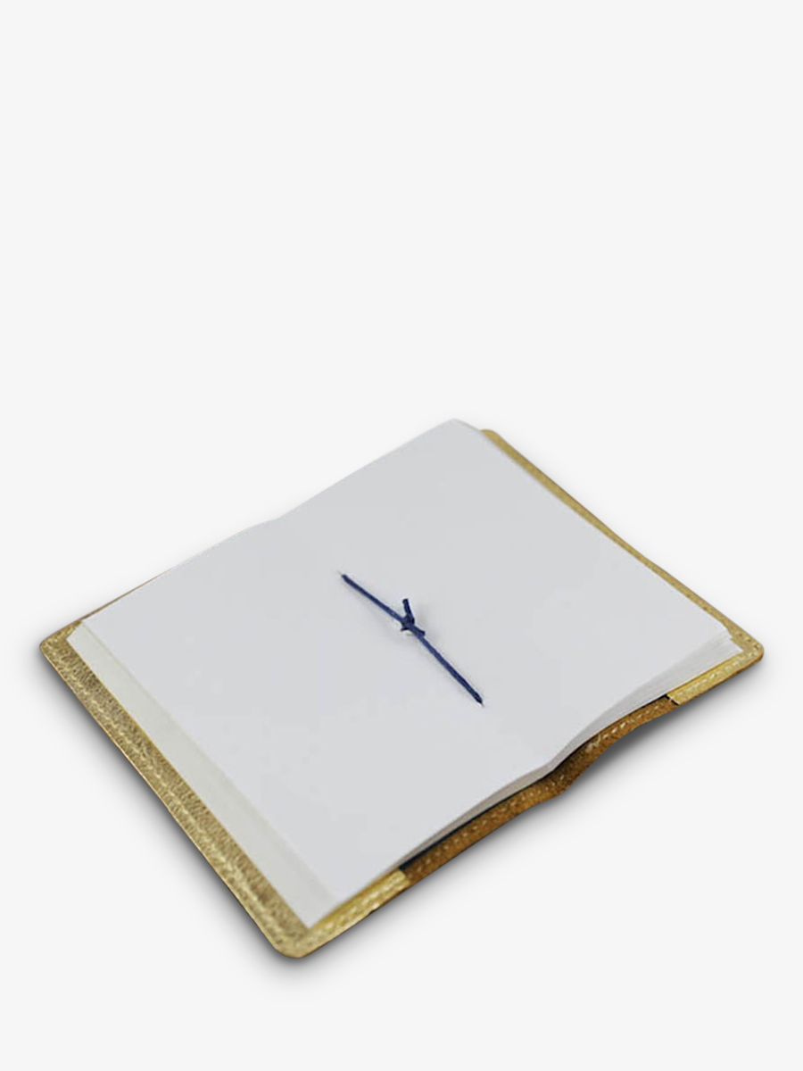 foto-interno-quaderno-dorato-lecarnet-s-dore-paul-marius-m61s-g