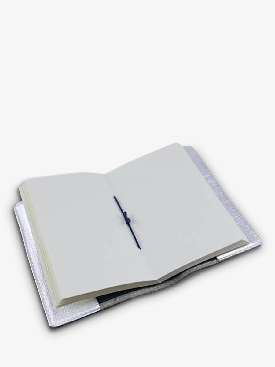 foto-interno-quaderno-scrittura-argento-lecarnet-s-argento-paul-marius-m61s-s