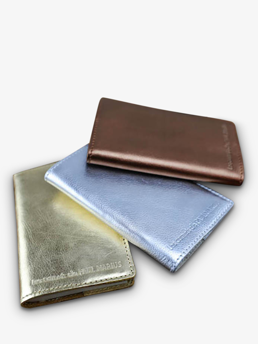 foto-vista-laterale-carnet-ecriture-argente-lecarnet-s-argente-paul-marius-m61s-s
