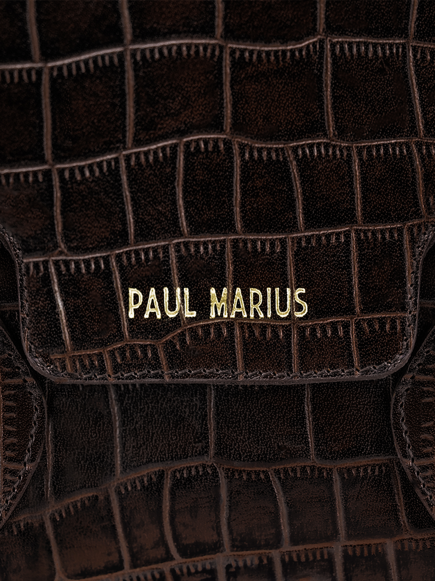foto-materiale-borsa-a-mano-in-pelle-donna-colette-s-alligator-marrone-paul-marius-w028s-a-db