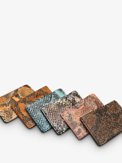 LePorte-cartes GABIN Python - Blu piscina