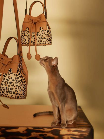 Capucine XS Leopard - Beige