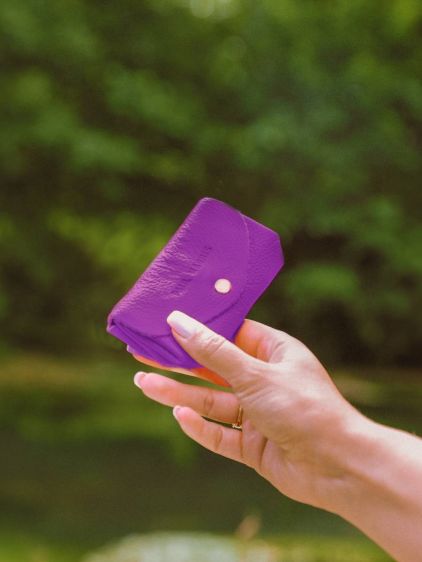 LeGustave Sorbet - Ribes nero