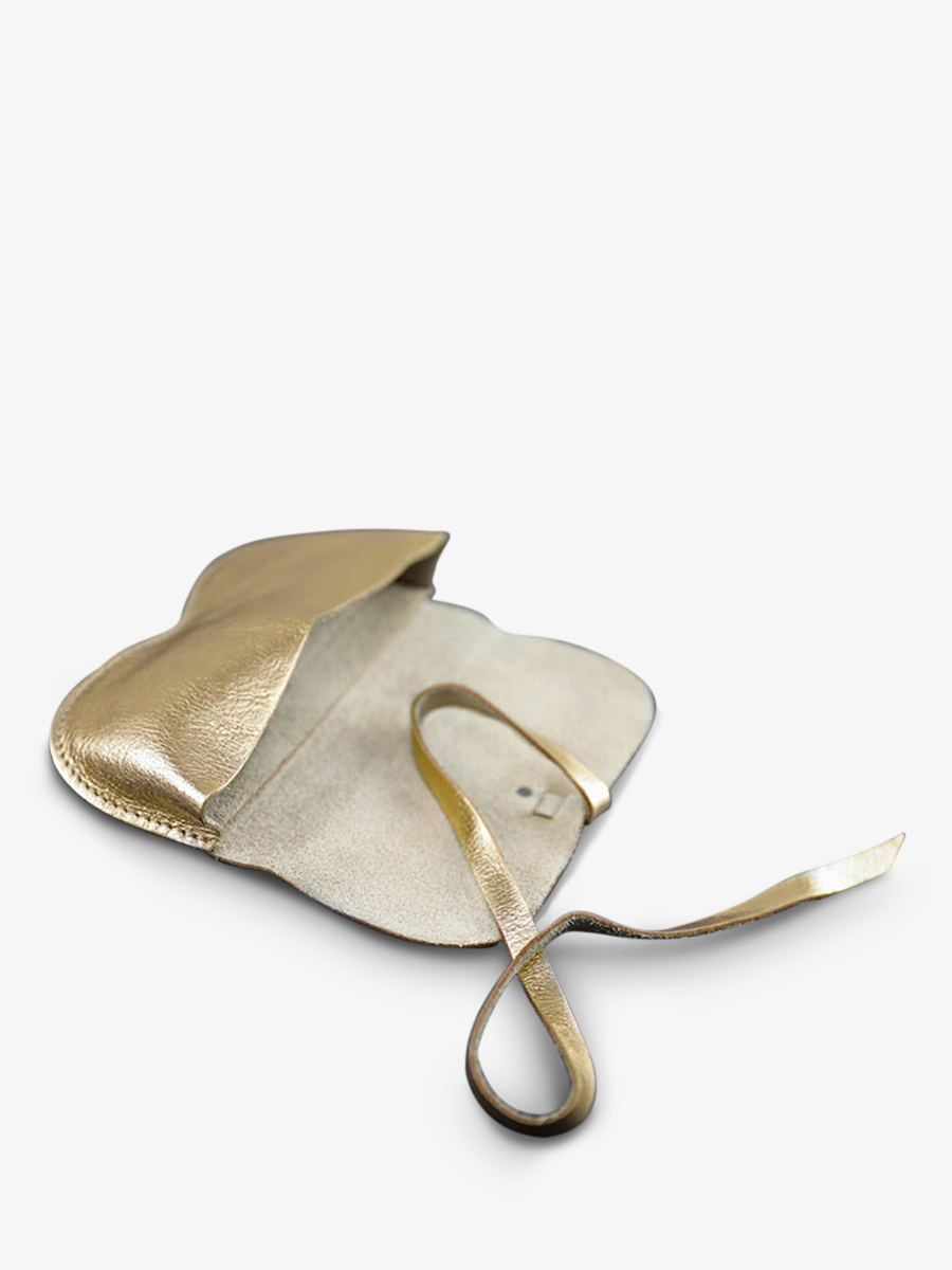 foto-vista-laterale-custodia-per-occhiali-dorata-custodia-per-occhiali-dorata-paul-marius-m49-g