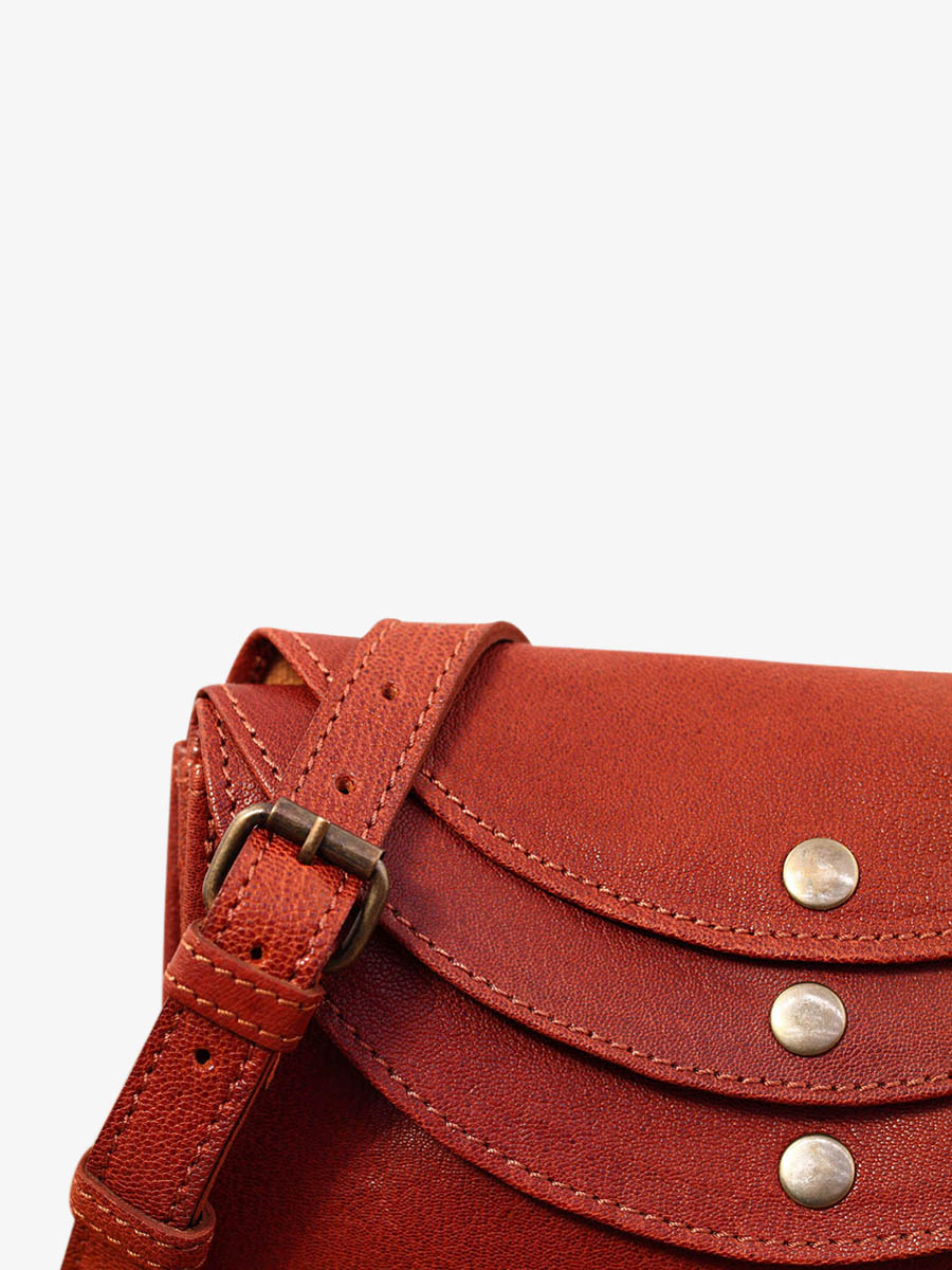 foto-vista-laterale-borsa-a-tramonto-in-pelle-donna-marrone-laminaudiere-brun-paul-marius-m301-mb