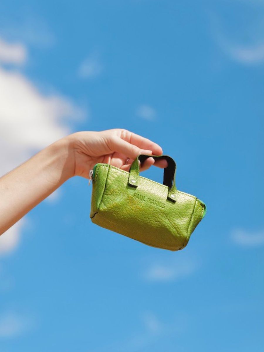 foto-vista-frontale-portamonete-in-pelle-verde-monpremier-paul-marius-assenzio-paul-marius-bbw-gr-b