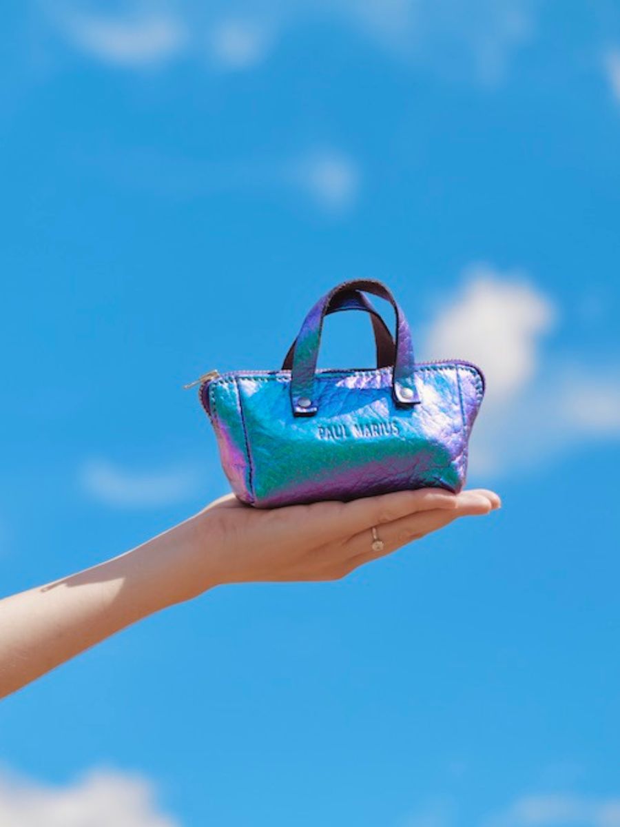 foto-vista-frontale-portamonete-in-pelle-blu-monpremier-paul-marius-scarabee-paul-marius-bbw-p-blu