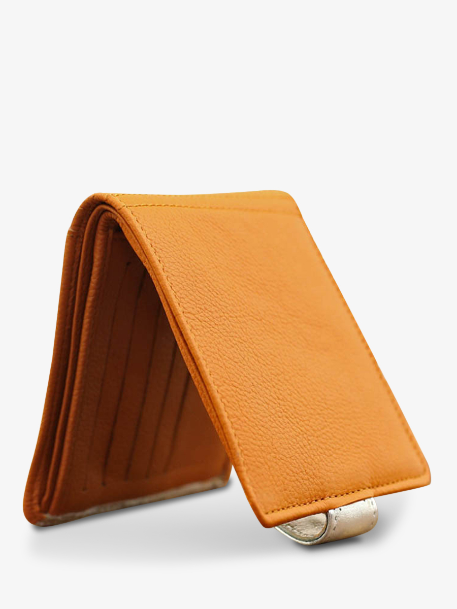 foto-vista-posteriore-portafoglio-in-pelle-donna-giallo-argento-leportefeuille-louise-safran-argente-paul-marius-m30-y-s