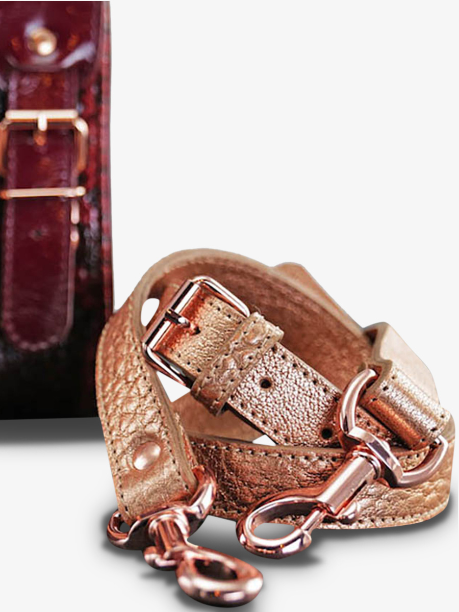 foto-vista-posteriore-borsa-a-tramoggia-in-pelle-donna-lerive-gauche-s-passion-paul-marius-w01s-pa