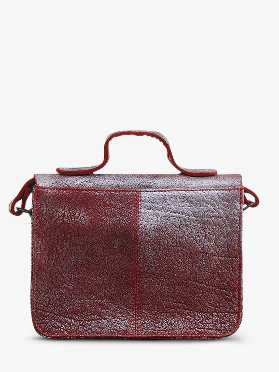 foto-vista-posteriore-borsa-a-tramonto-in-pelle-donna-argento-mademoiselle-george-matt-argento-paul-marius-w05-rs