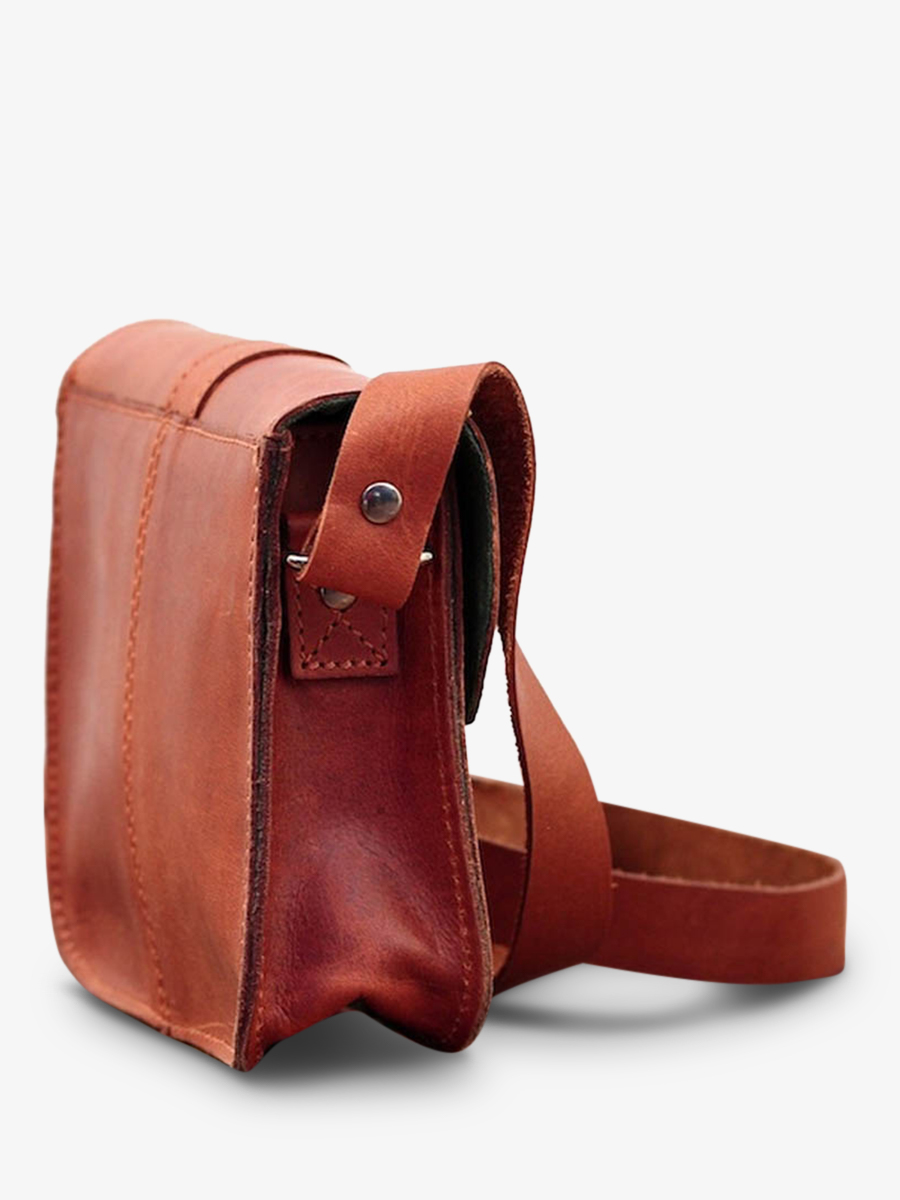 foto-vista-laterale-borsa-a-tramonto-in-pelle-donna-marrone-lessentiel-naturel-paul-marius-m21-l