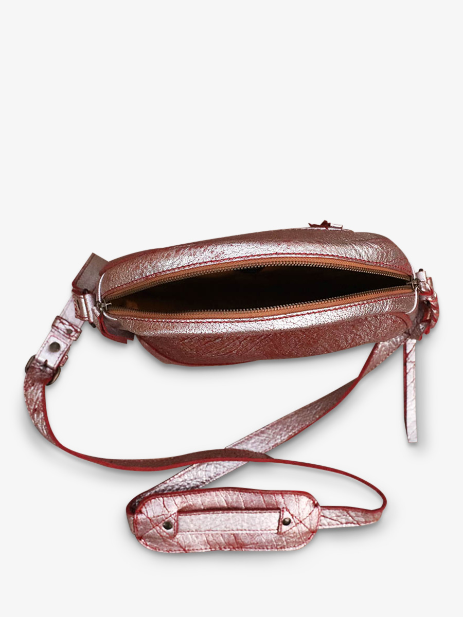 foto-interno-borsa-a-tramonto-in-pelle-donna-argento-lecrin-mattone-argento-paul-marius-w15-rs