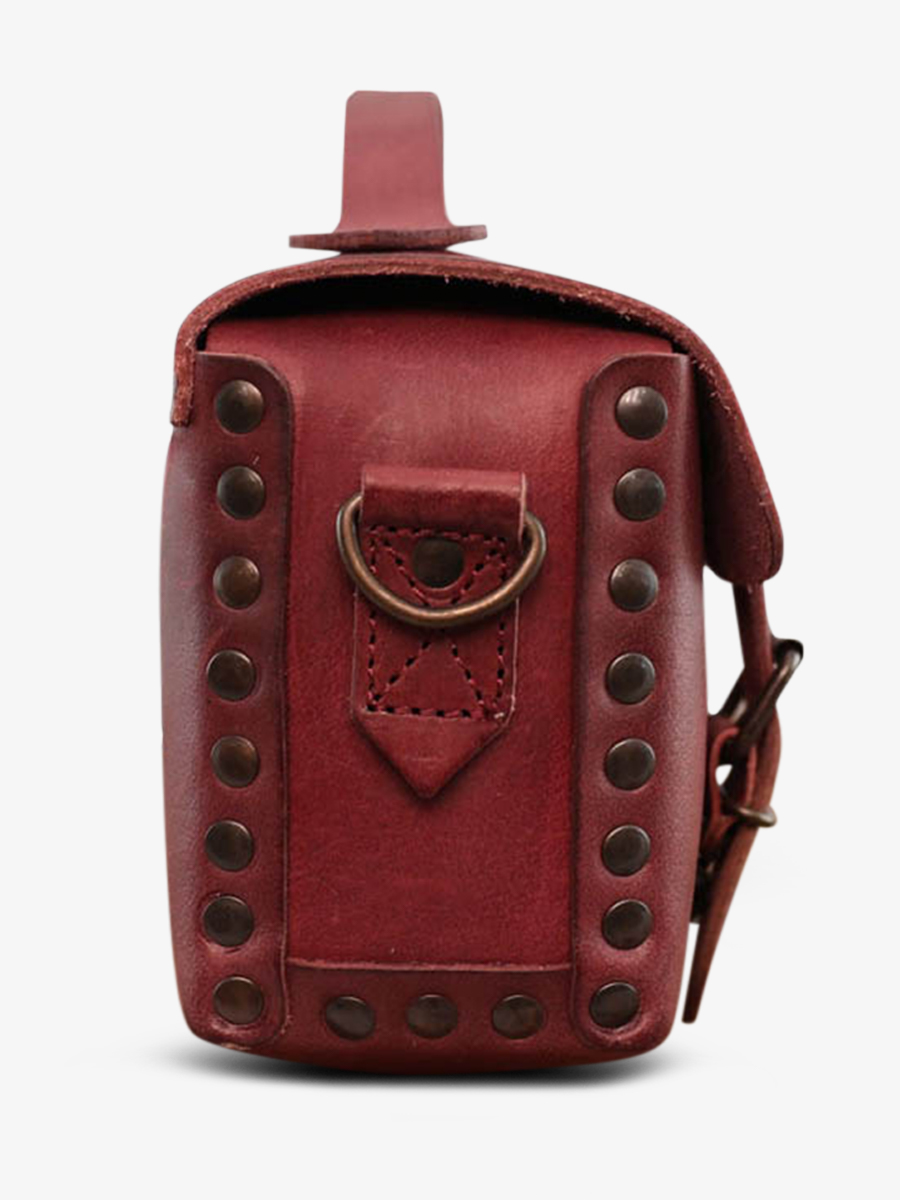 foto-vista-laterale-borsa-a-tramoggia-in-pelle-donna-viola-lartisane-prune-paul-marius-p02-p