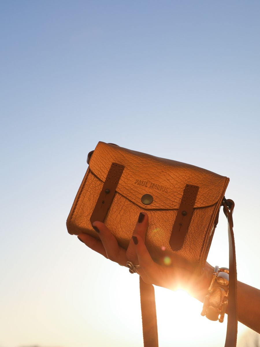 foto-portafoglio-borsa-a-tramonto-in-pelle-donna-dorata-il-mini-indispensable-dorato-paul-marius-w08s-gd