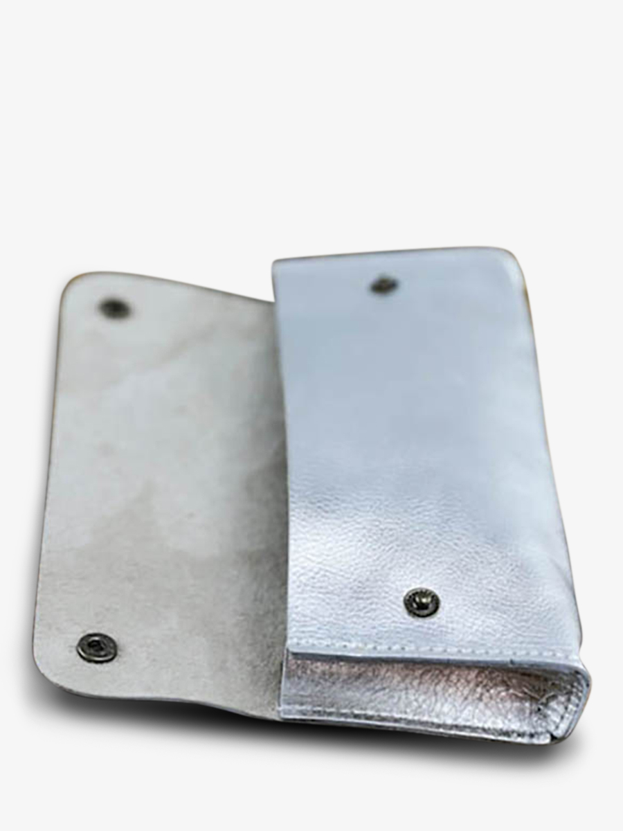 foto-vista-laterale-astuccio-scolastico-argento-latrousse-de-paul-argento-paul-marius-m58-s